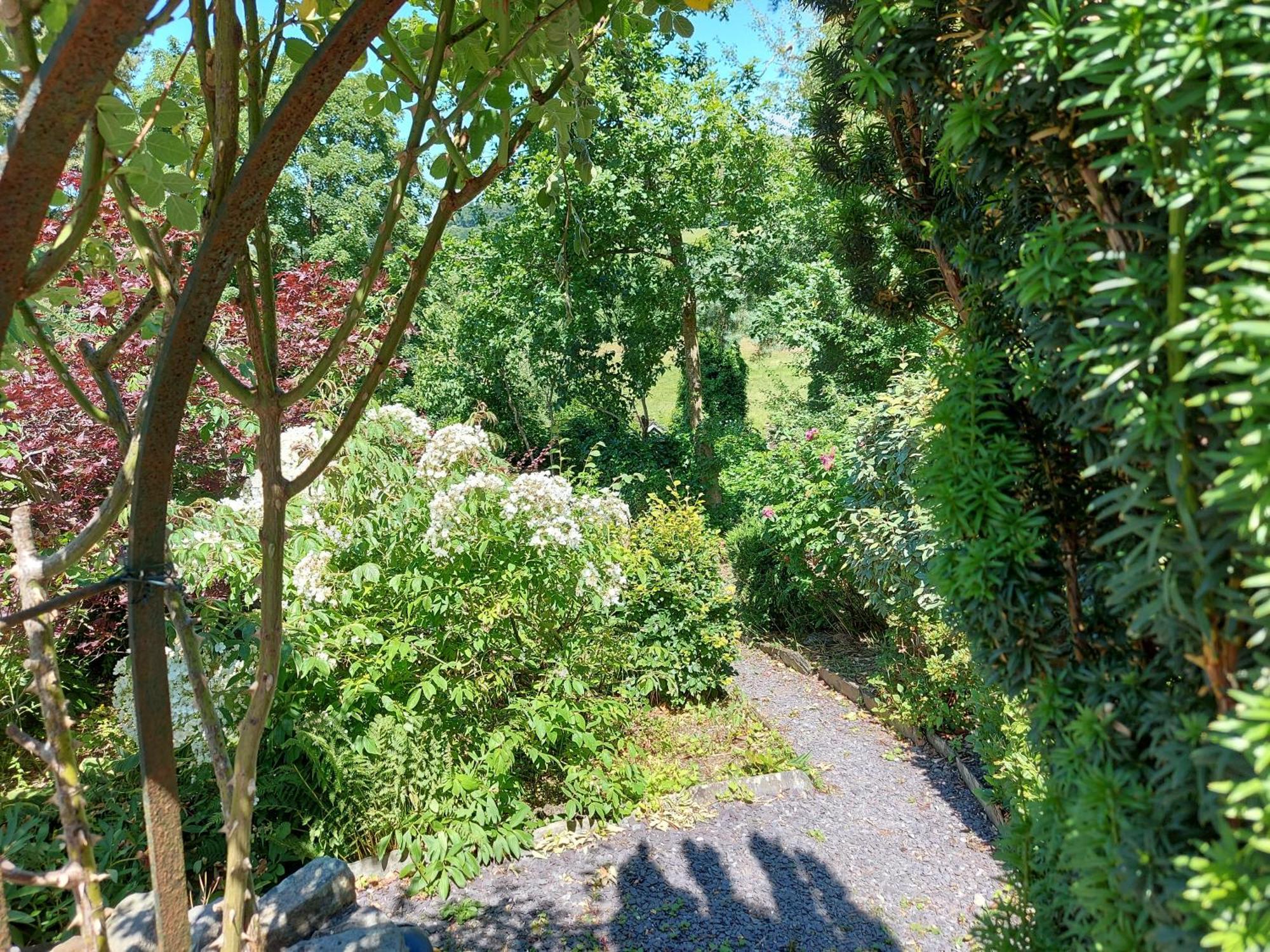 Hotel Bron-Y-Graig Corwen Zewnętrze zdjęcie